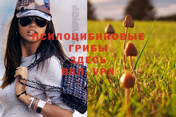 мяу мяу мука Алексин